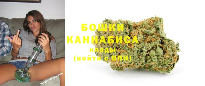 Бошки Шишки SATIVA & INDICA  наркота  Волоколамск 